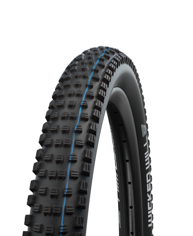 Schwalbe Wicked Will Evolution Super Ground Faltreifen