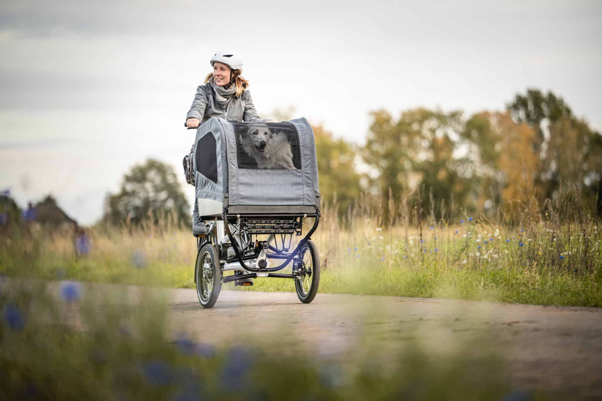 Chike E-Dog Elektro-Lastenrad mit geschlossener Hundebox, unterwegs auf einem Feldweg in natürlicher Umgebung