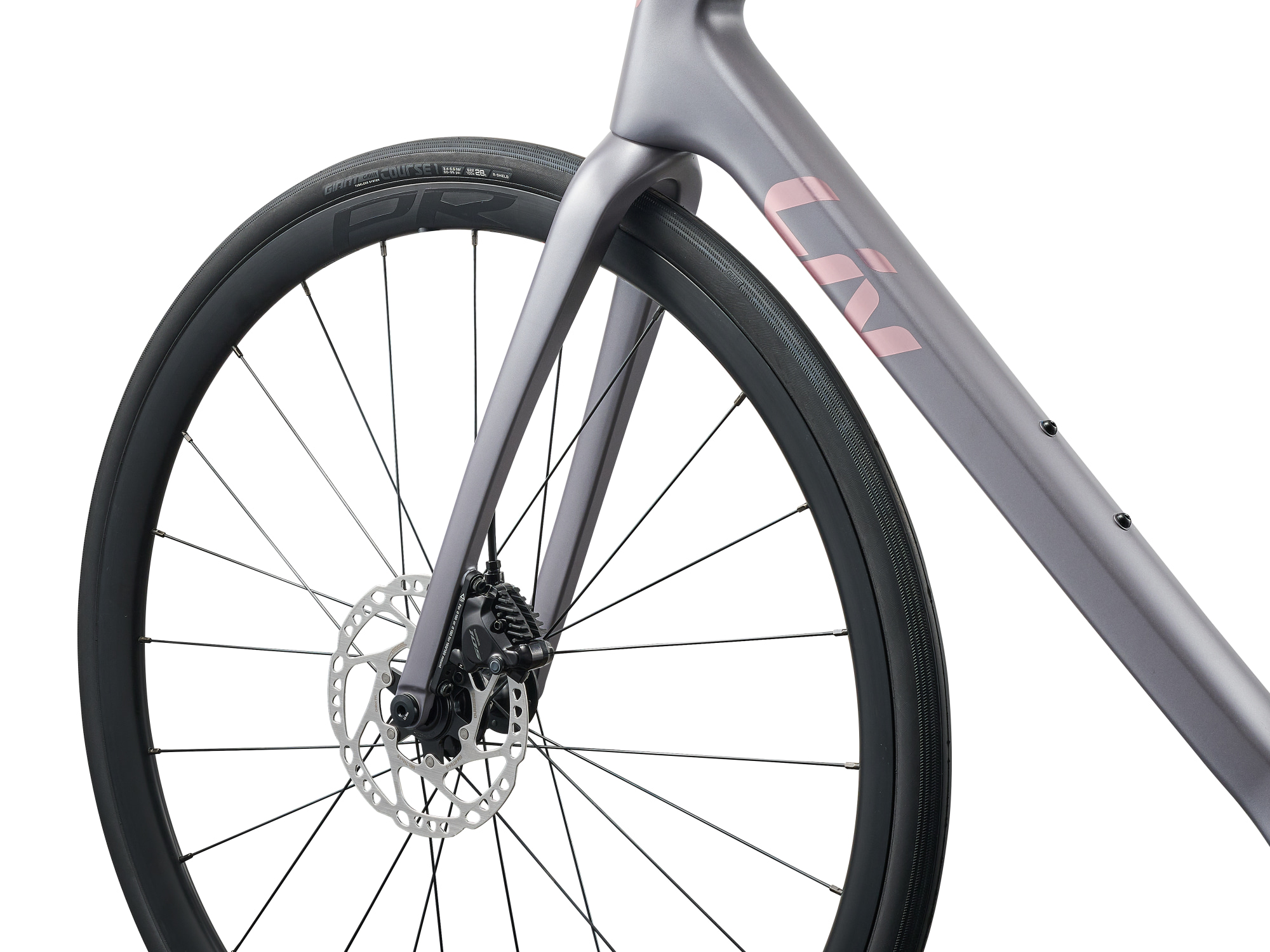 Liv Damen-Rennrad Langma Advanced 2 mit hellgrauem Carbon-Rahmen und Carbon-Gabel, Aufschrift bronze, Komponenten schwarz, Detailansicht Gabel mit Vorderrad