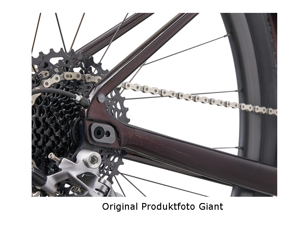 Giant Revolt Advanced 1 Gravelbike in Dunkelrot mit Kettenblatt und breiten Stollenreifen.