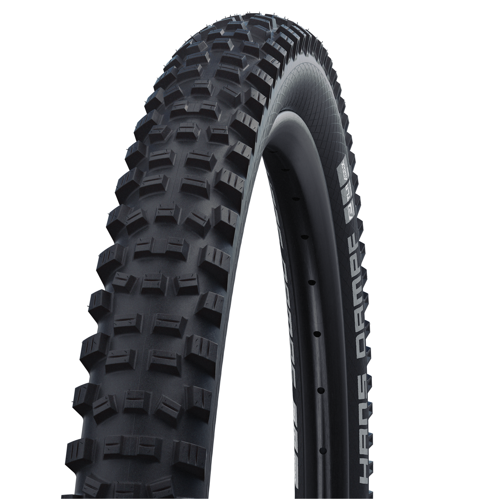 Schwalbe Hans Dampf 24x2.35 Performance Faltreifen
