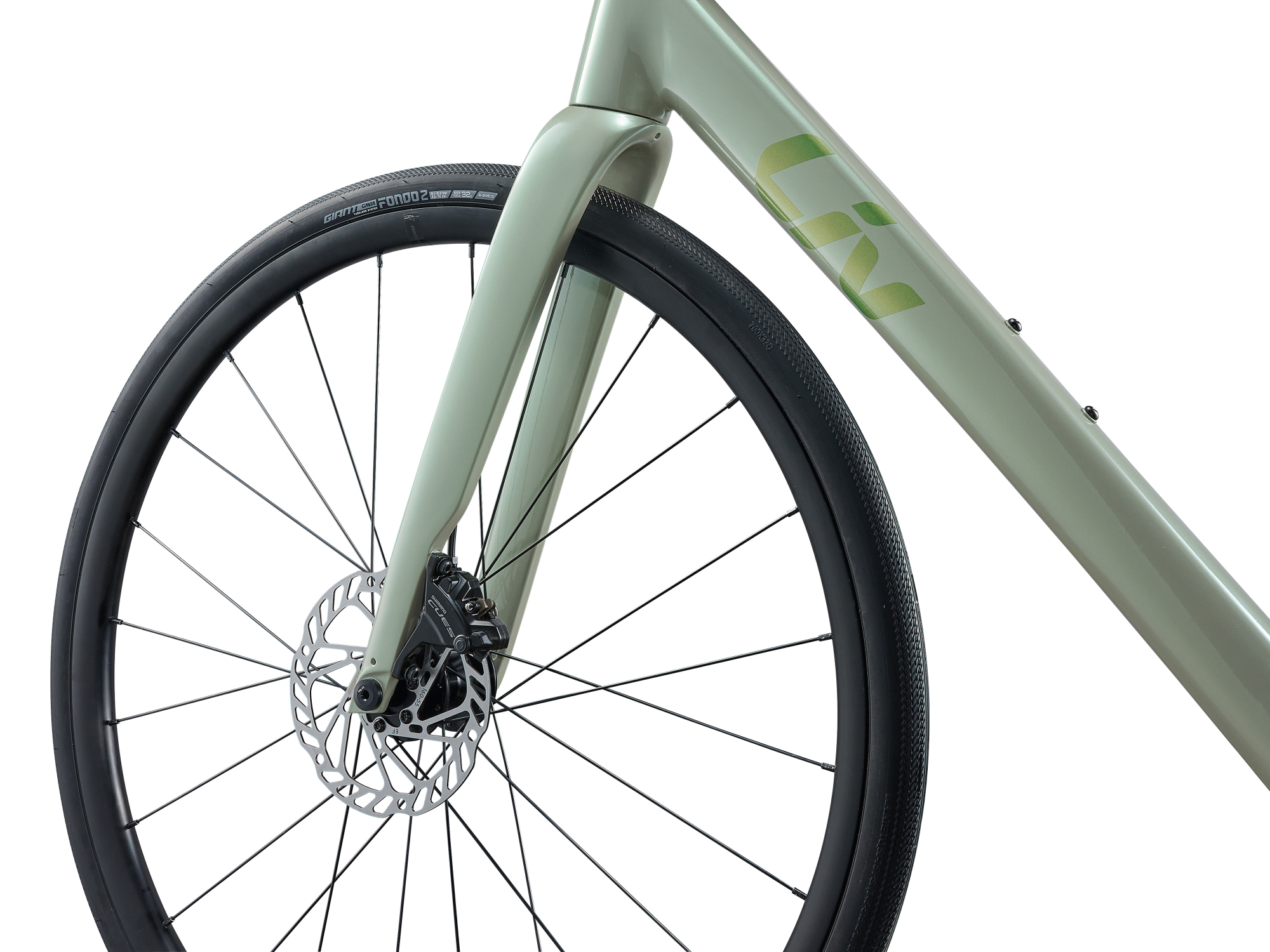 Liv Beliv AR 1 in Misty Aloe mit Gavia Fondo 2 Reifen und Scheibenbremse vorn.
