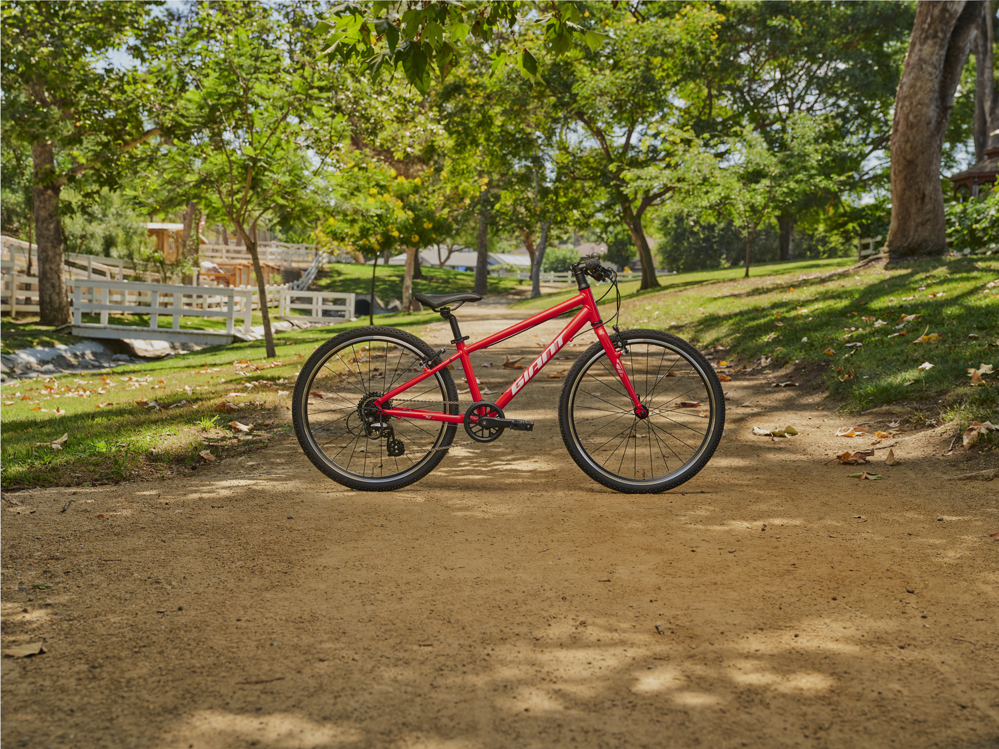 Rotes Kinderfahrrad der Marke Giant steht auf einem sonnigen Waldweg im Park, umgeben von Bäumen und Grünflächen.