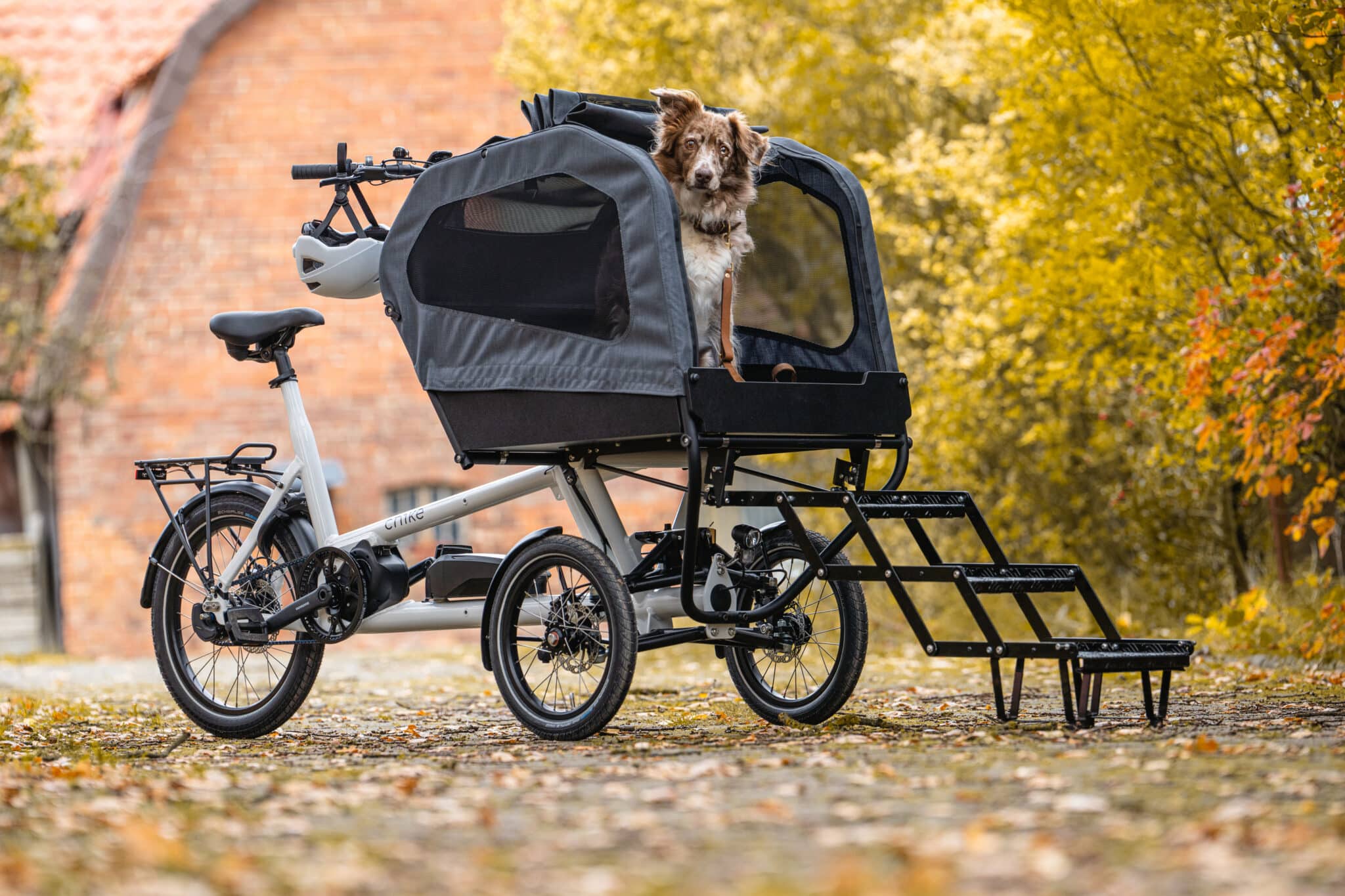 Chike E-Dog Lastenrad mit Hundebox und ausklappbarer Einstiegsrampe, geparkt auf herbstlichem Untergrund