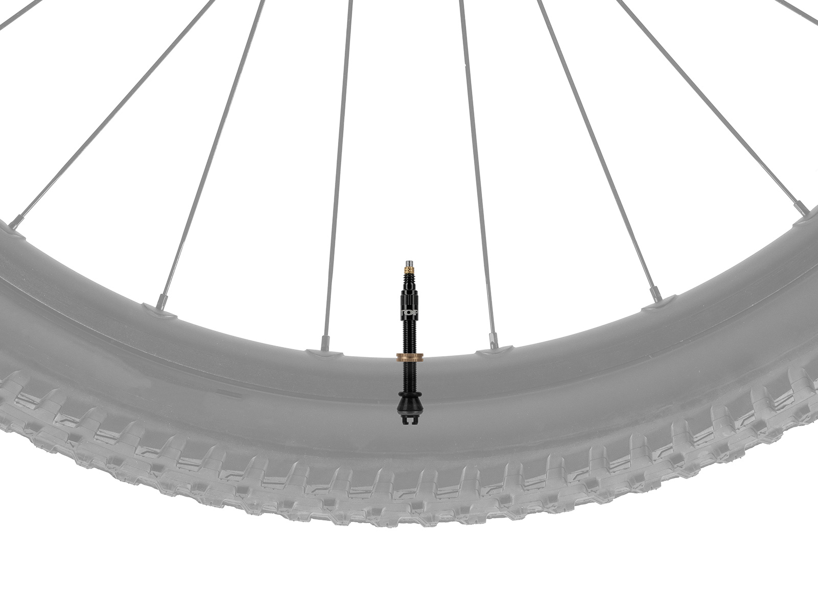 Schwarzes Tubeless-Ventil mit goldfarbener Rändelmutter montiert in einem grauen Mountainbike-Laufrad mit grobem Reifenprofil, auf weißem Hintergrund.