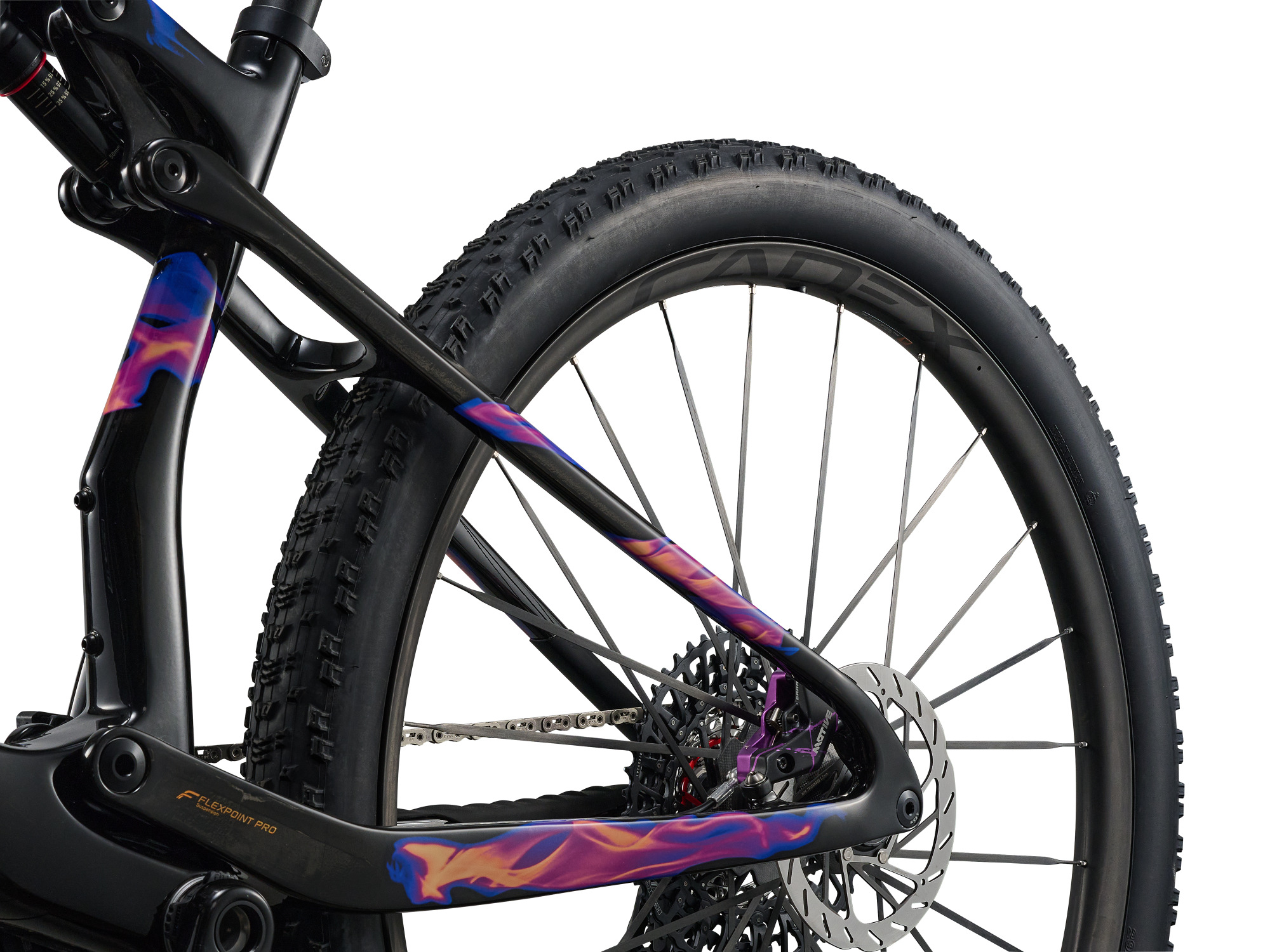 Giant Anthem Advanced SL SE Mountainbike mit Hinterrad und Scheibenbremse in Detailansicht