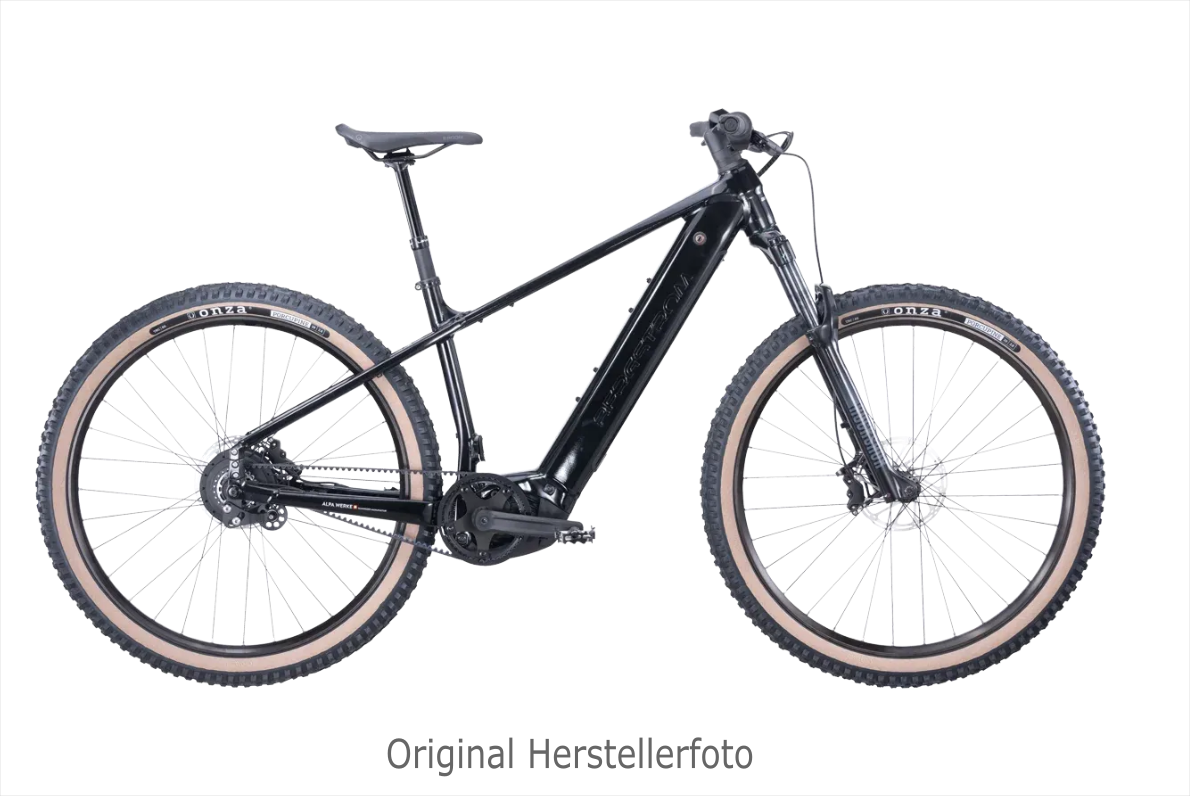 Bergstrom Pure 1.8 E‑Bike in Tiefschwarz Glanz mit integriertem Akku und Federgabel in Seitenansicht.