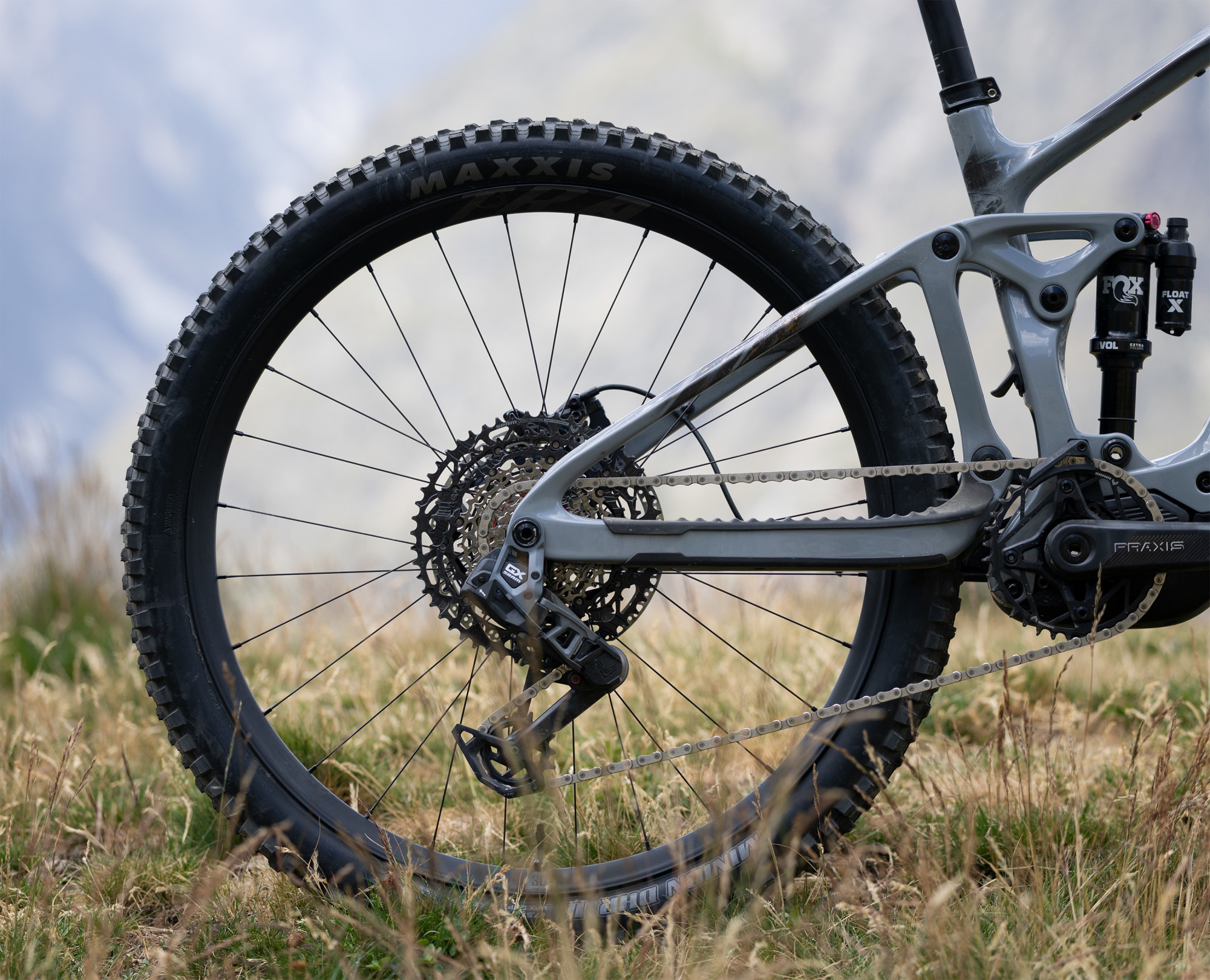 Liv Intrigue X Advanced E+ 1 E-Mountainbike in Stardust Grey mit Hinterradfederung und GX Eagle Schaltwerk.