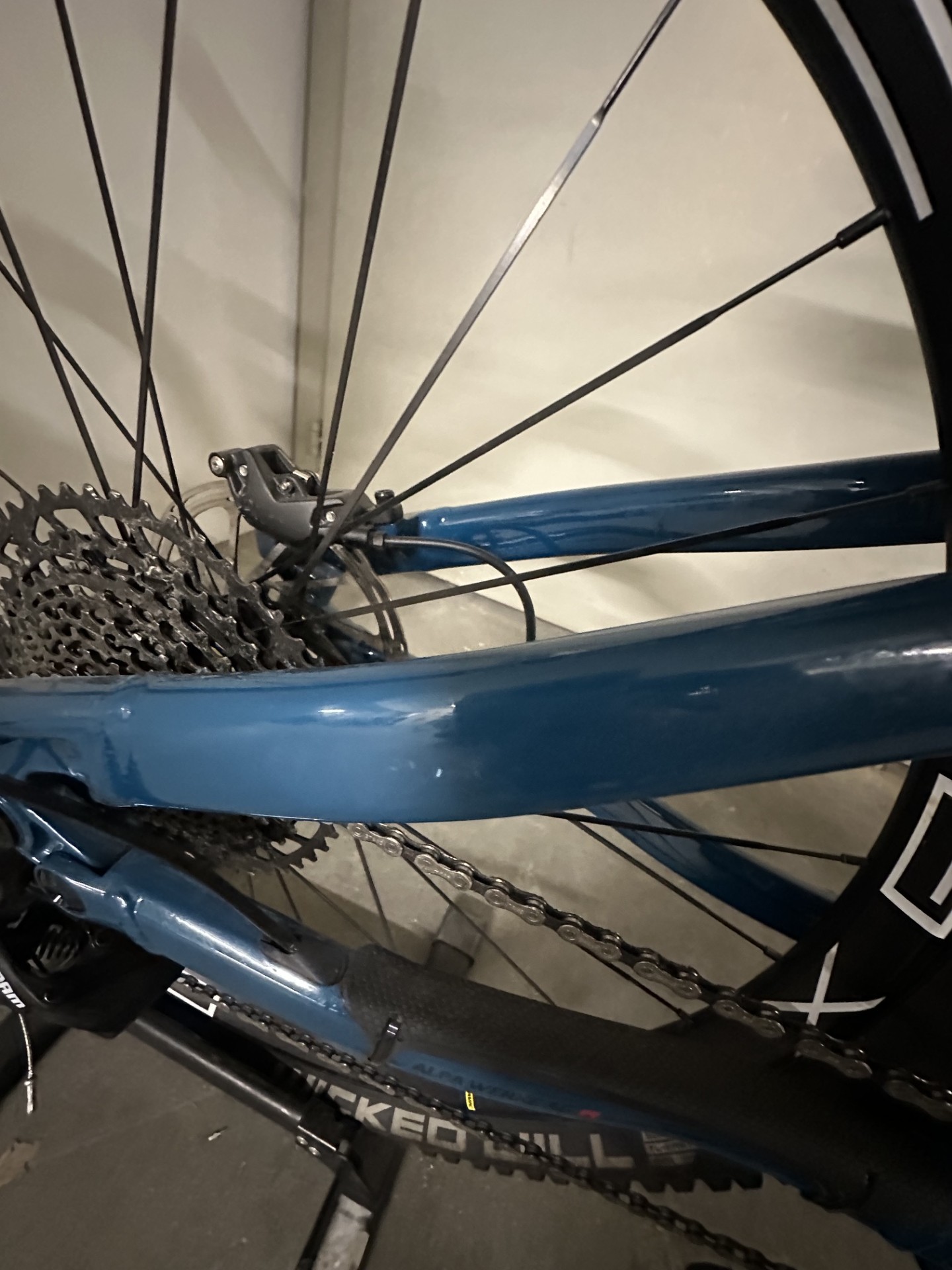 Bergstrom Flow 3 Testvelo in oncean blau, Hinterbau