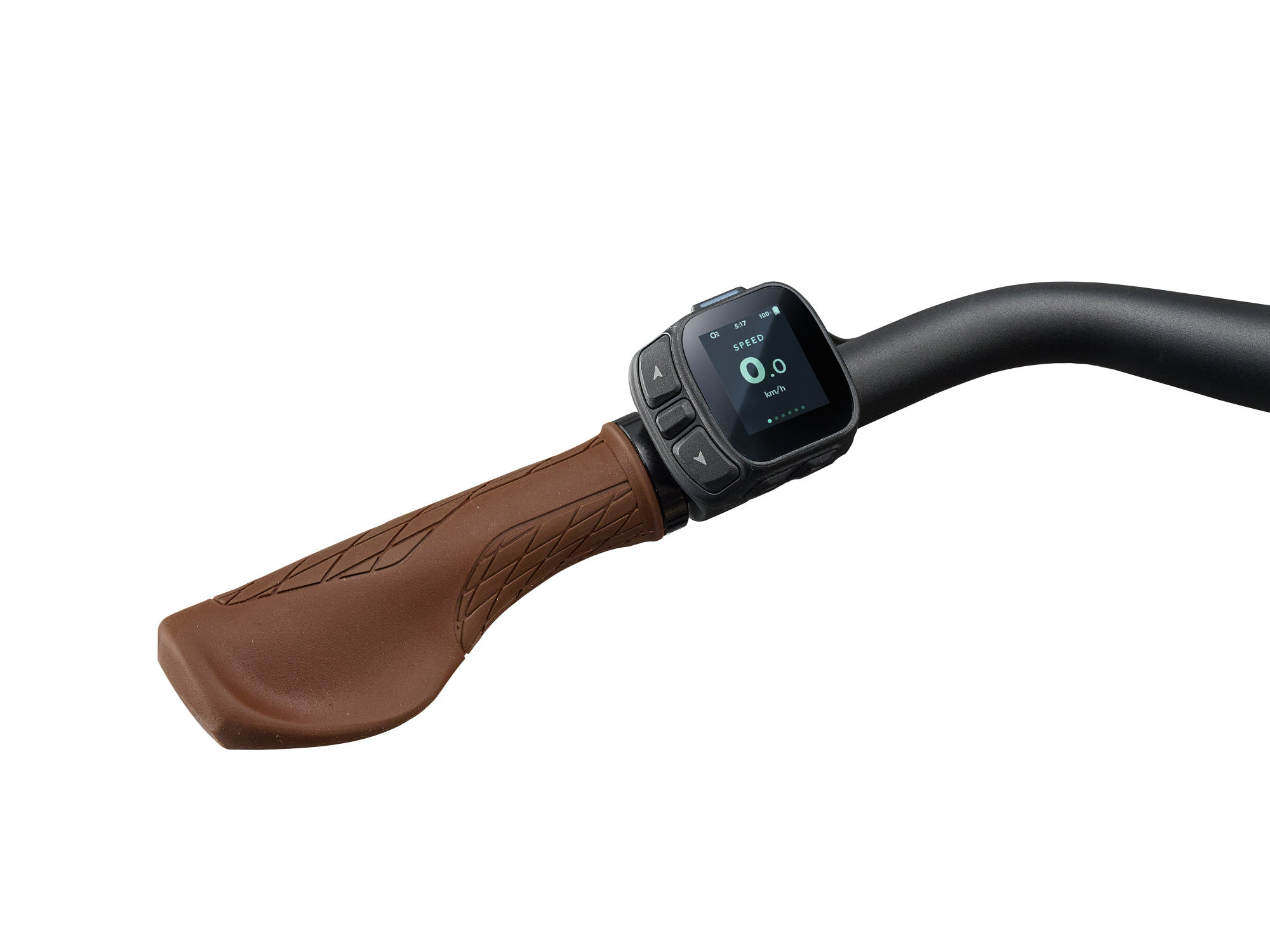 Liv E-Bike Modell Allure E+, mit tiefem Einstieg in gedecktem blau, mit braunem Sattel und Griffen, Federgabel, Schutzblechen, Lampen und Gepäckträger, Detailansicht Display am Lenker