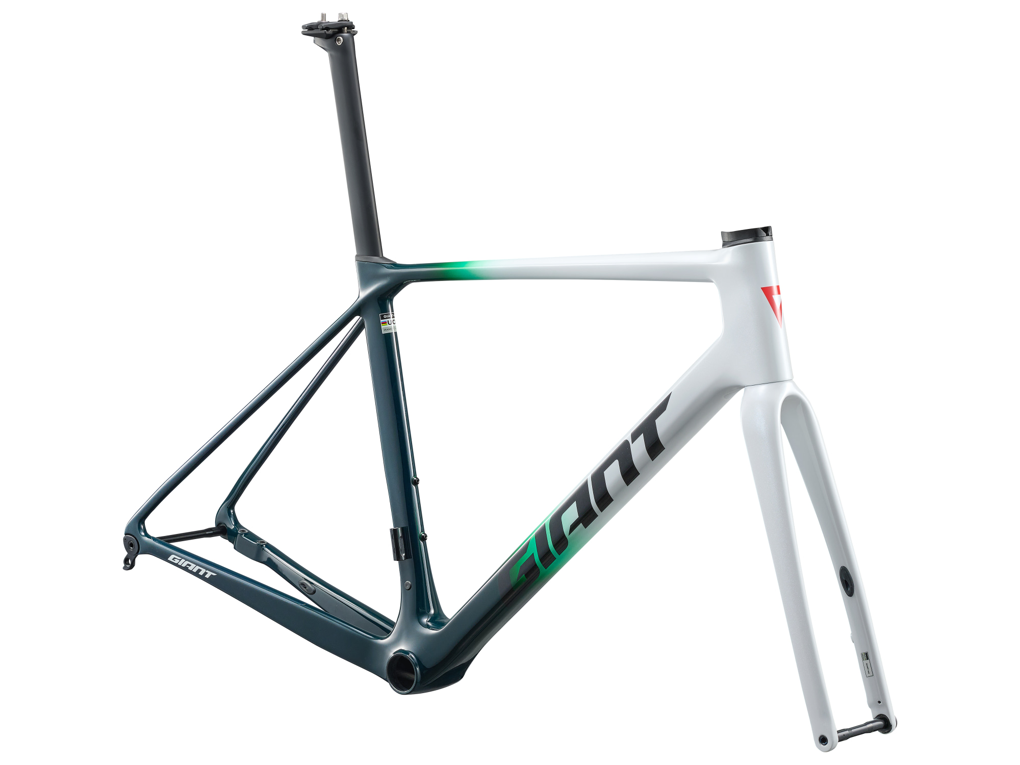 Cadre carbone Giant TCR Advanced PRO en noir-vert-blanc, vue trois-quarts avant droit