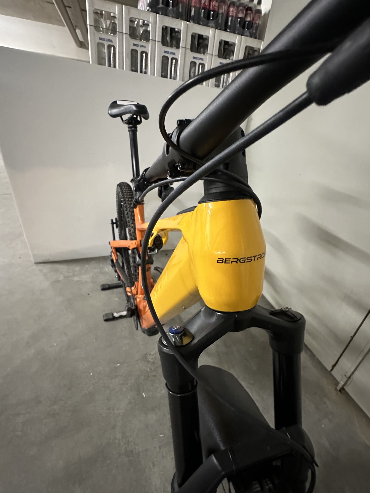 Bergstrom Flow 1 E-MTB in sunset glanz, Testvelo Front