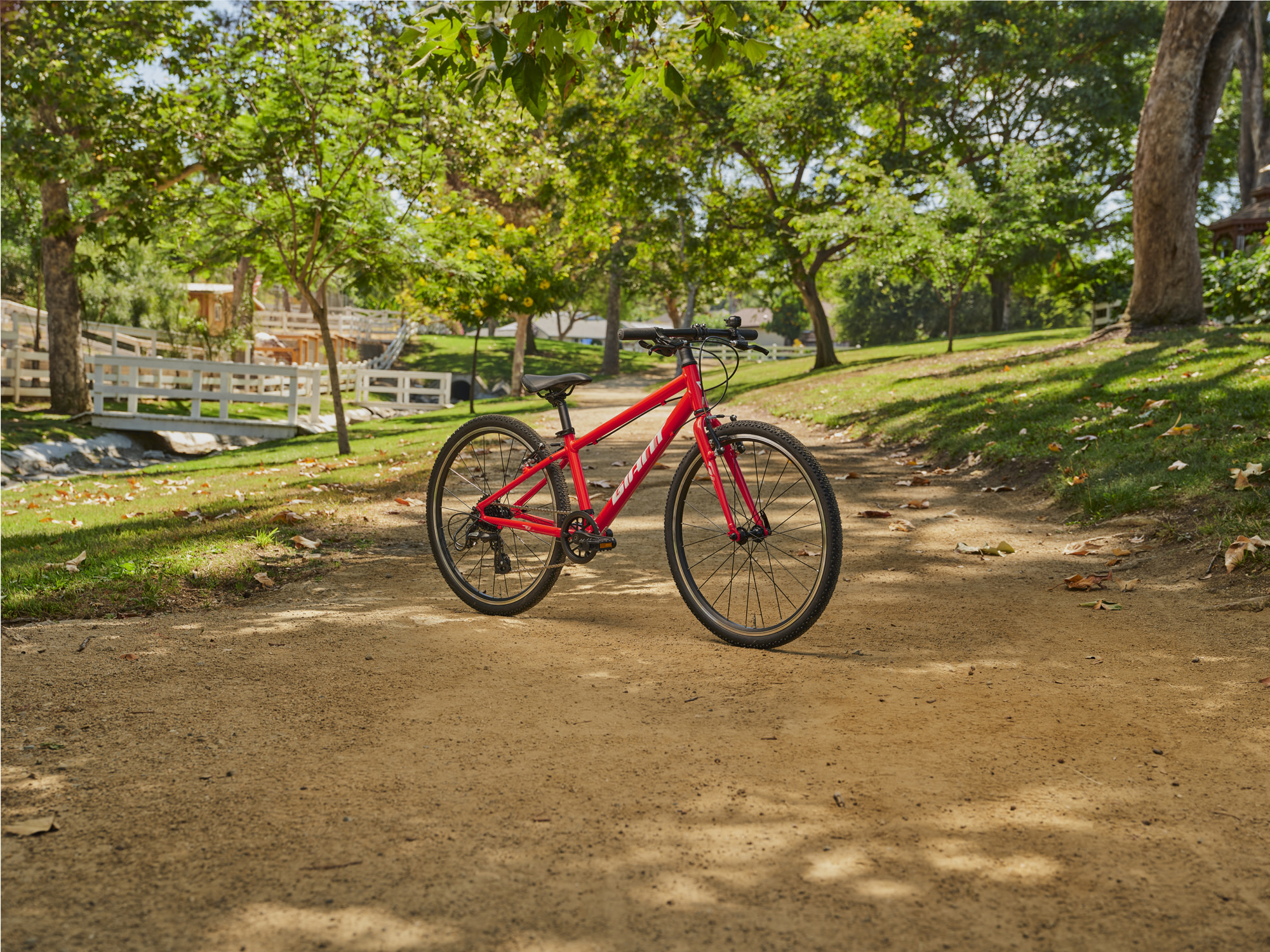 Rotes Kinderfahrrad der Marke Giant steht auf einem sonnigen Waldweg im Park, umgeben von Bäumen und Grünflächen - Ansicht schräg von der Seite