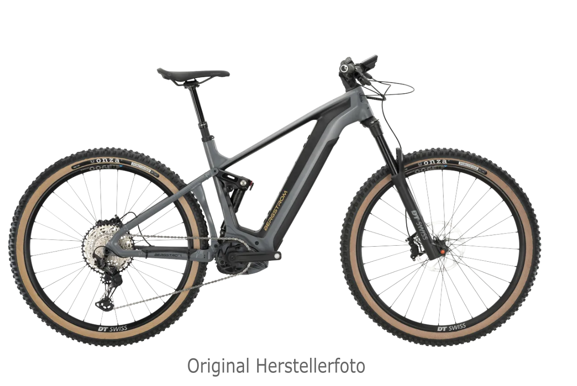 Bergstrom ATV 969 Race Carbon E-MTB in Two Tone Grey, Seitenansicht