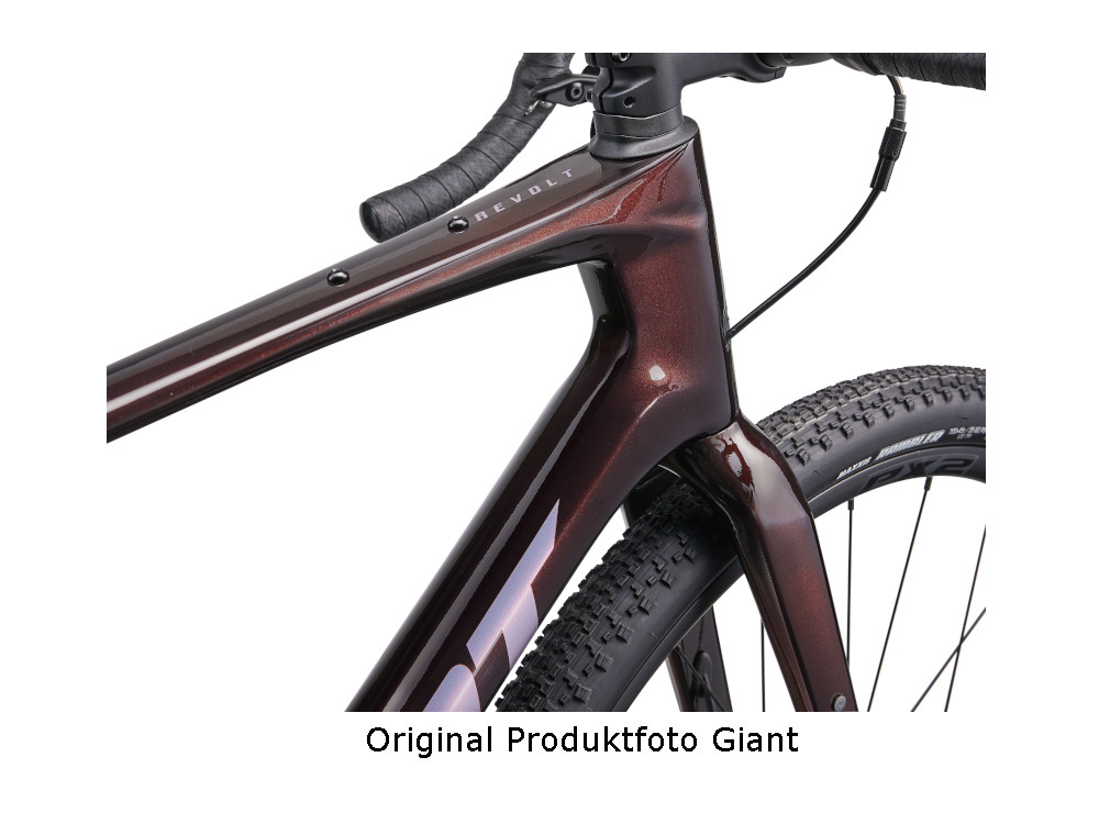 Giant Revolt Advanced 1 Gravelbike in Dunkelrot mit schlanker Carbongabel und Stollenreifen.