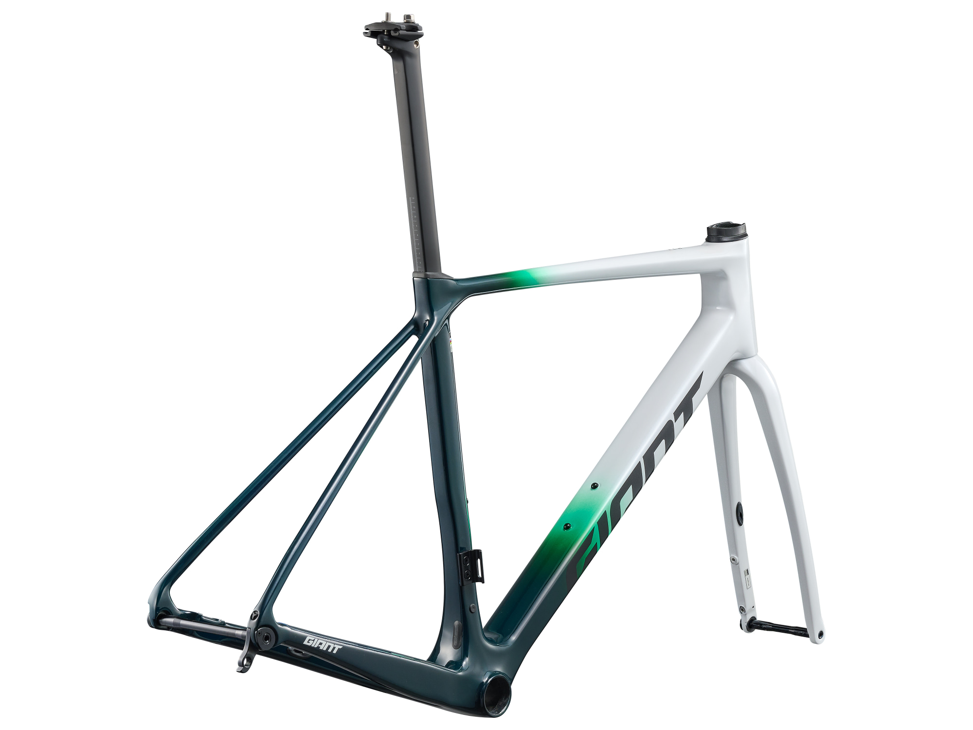 Cadre carbone Giant TCR Advanced PRO en noir-vert-blanc, vue trois-quarts arrière droit