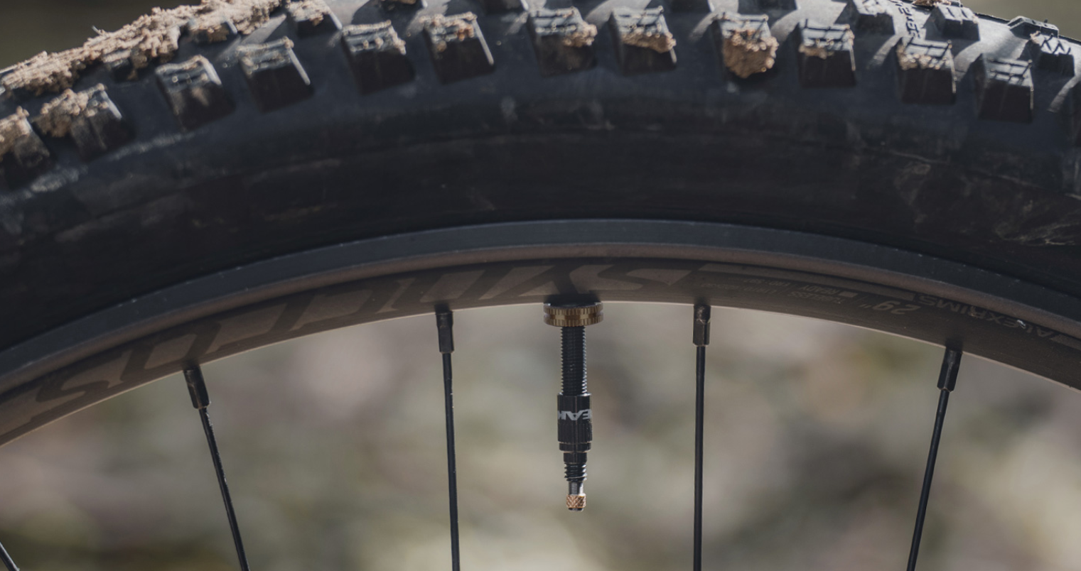 Tubeless-Ventil montiert in einem Mountainbike-Laufrad mit grobem Reifenprofil, im Outdoor-Einsatz auf einem Trail, teilweise verschmutzt.