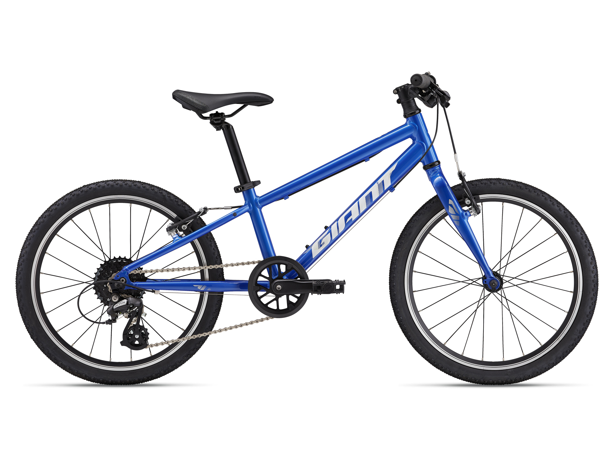 Giant ARX 20 Kindervelo