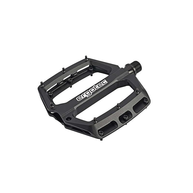 Ergotec EP-P Pedale Mountainbike Pedale Plattform von Ergotec Modell EP-P in schwarz mit Pins
