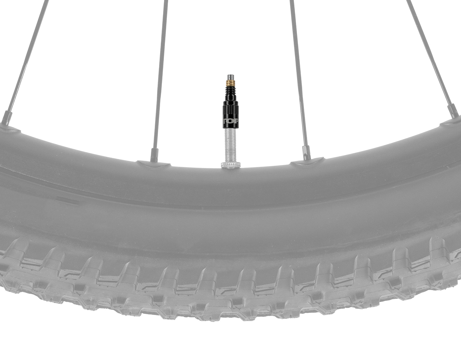 Tubeless-Ventil montiert in einem grauen Mountainbike-Laufrad mit grobem Reifenprofil, auf weißem Hintergrund.
